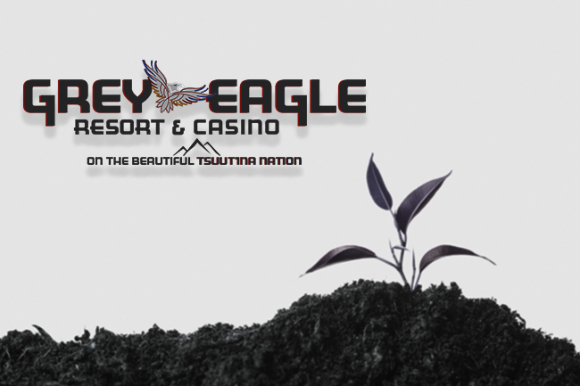 grey eagle casino rooms